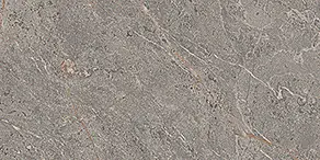 Amaranto Grey 30x60 Natural 9.5 mm [5]