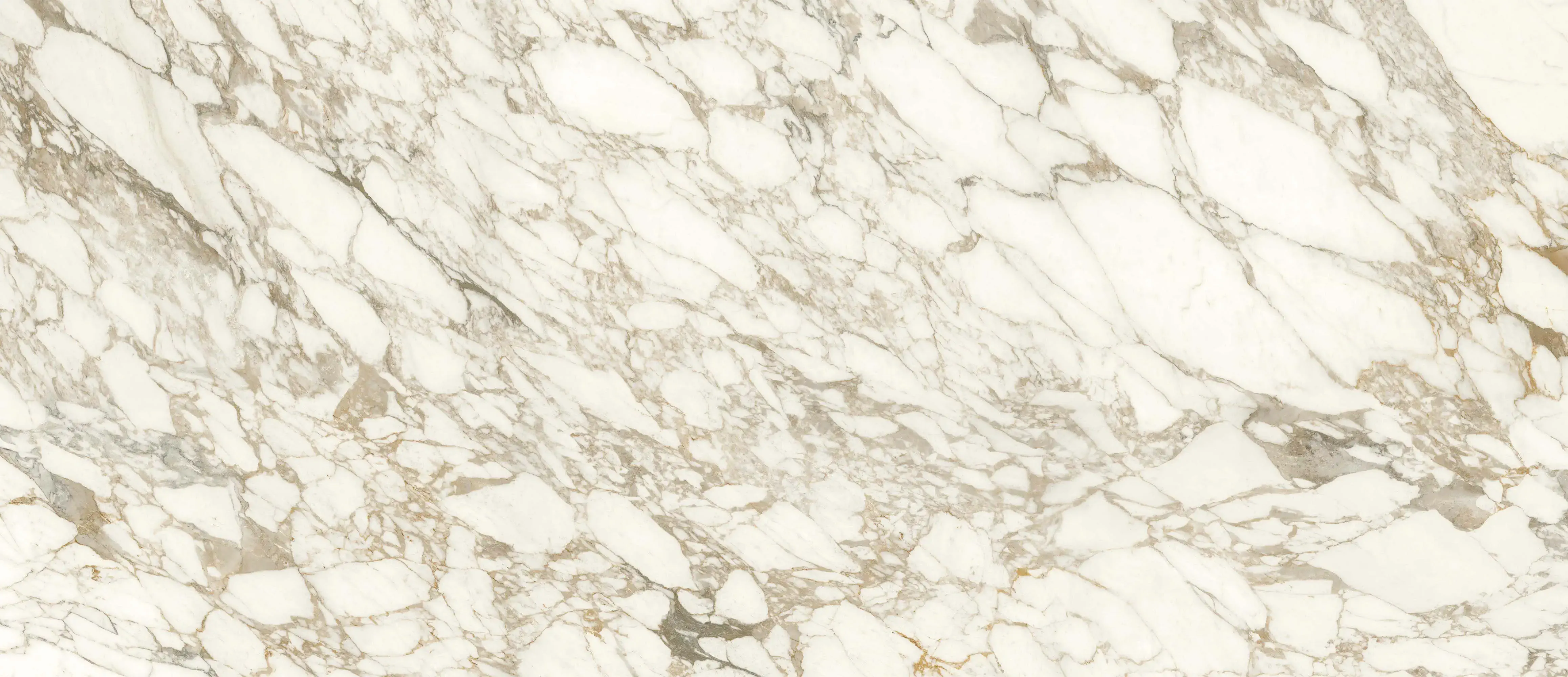 Anima Ever Luxury Arabesque 120x278 Lucidato 6 mm [3]