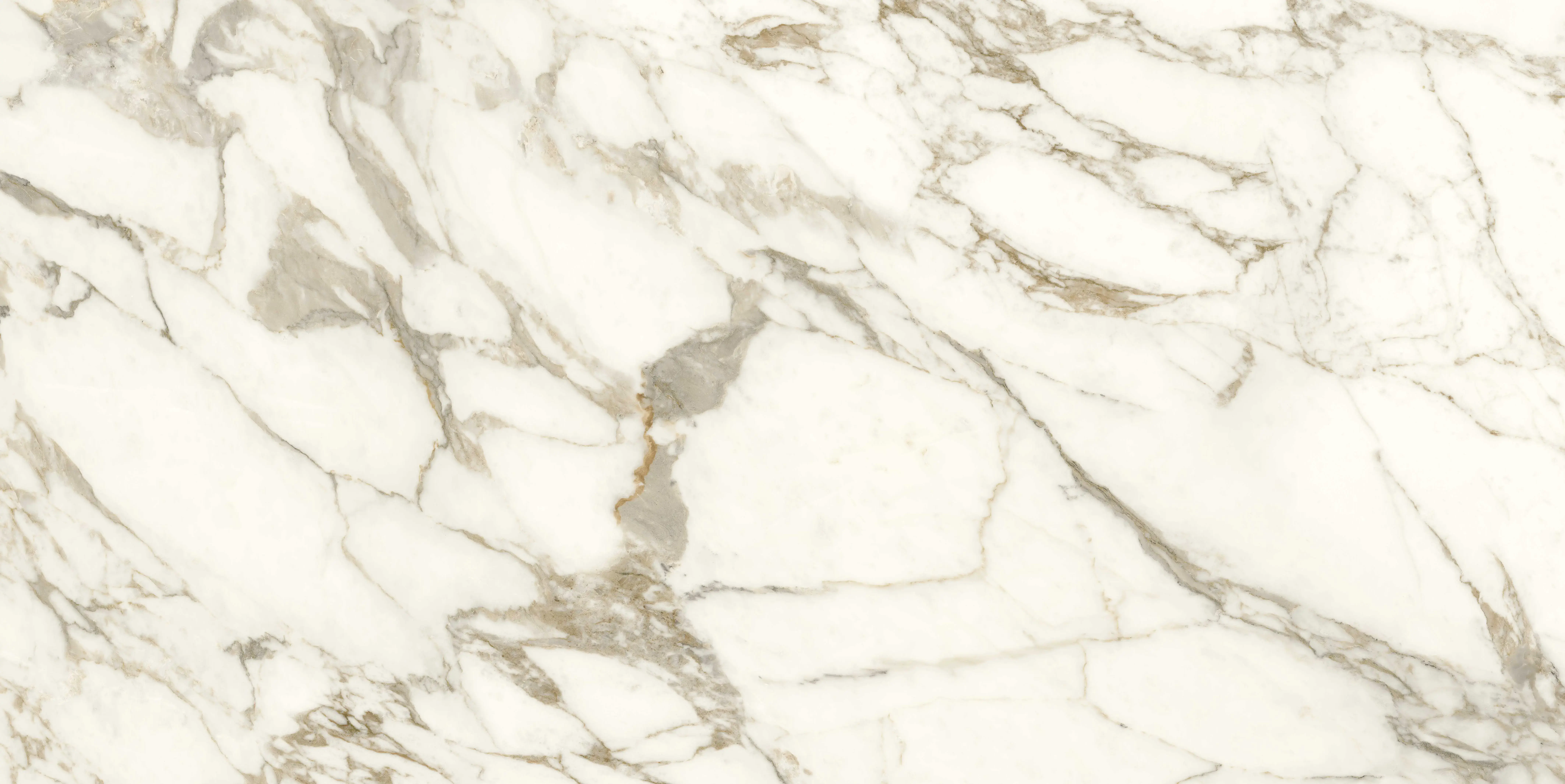 Anima Ever Luxury Arabesque 120x278 Lucidato 6 mm [2]