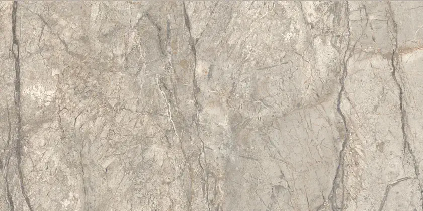 Anima Futura Amazing Silver 60x120 Lucidato 9 mm [4]