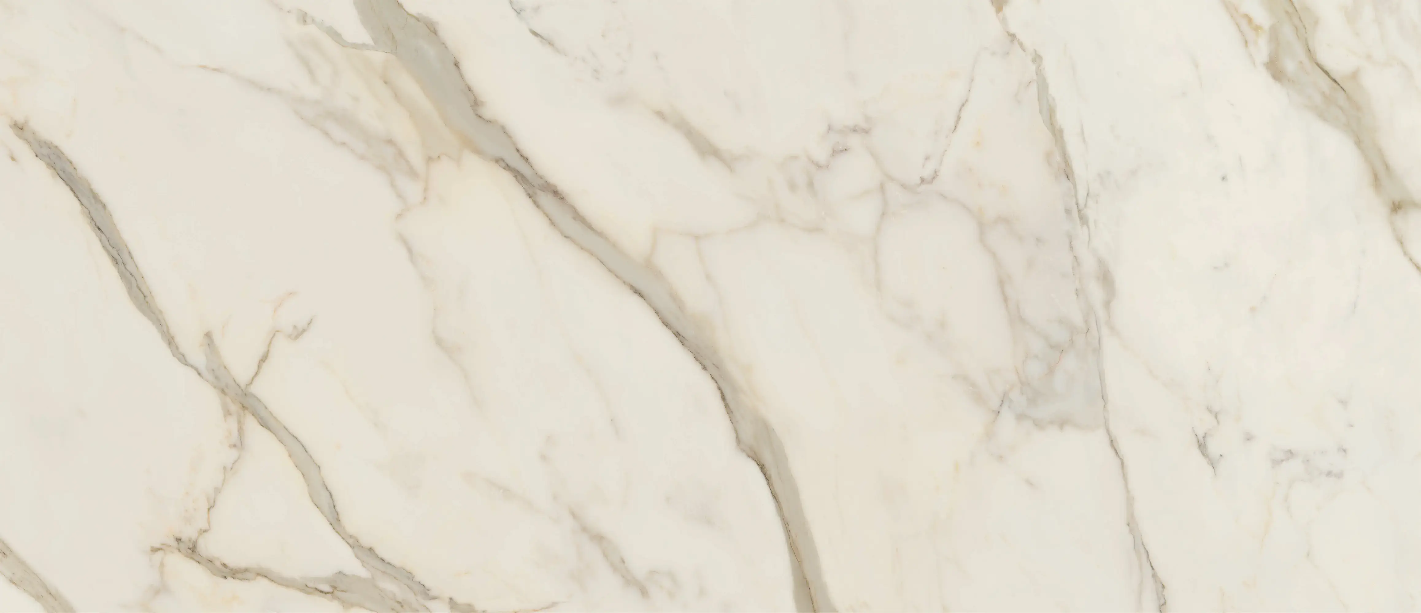 Anima Futura Golden White Sign 60x120 Matt 9 mm [4]