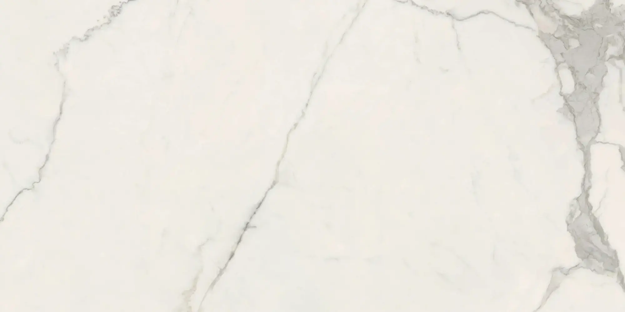 Anima Futura Majestic White 120x278 Lucidato 6 mm [2]