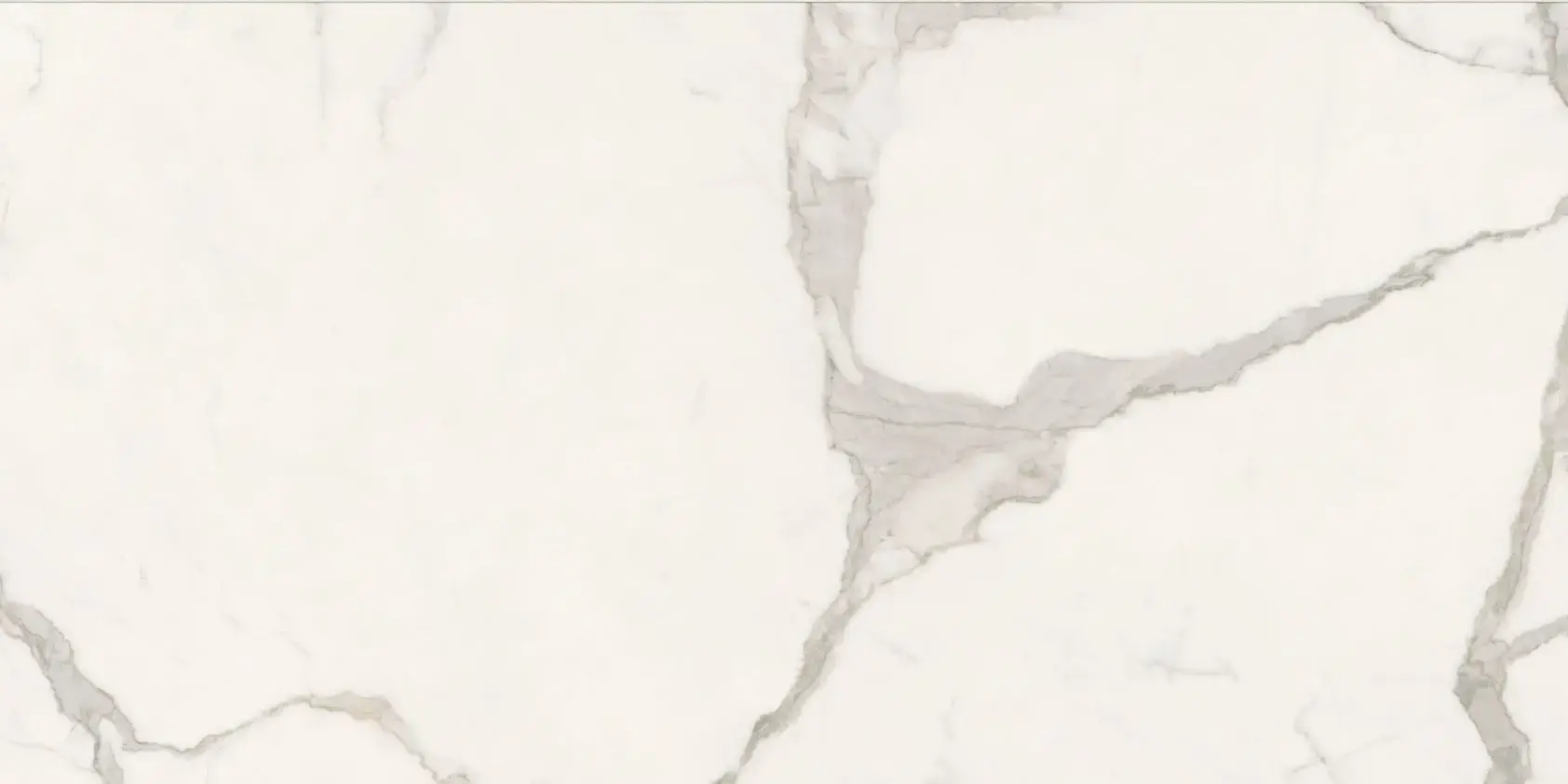 Anima Futura Majestic White Sign 60x120 Matt 9 mm [2]