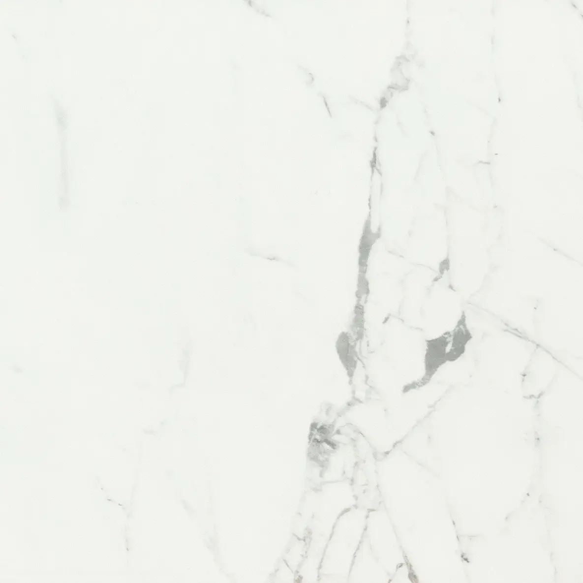 Anima Statuario Venato 120x120 Matt 9 mm [3]