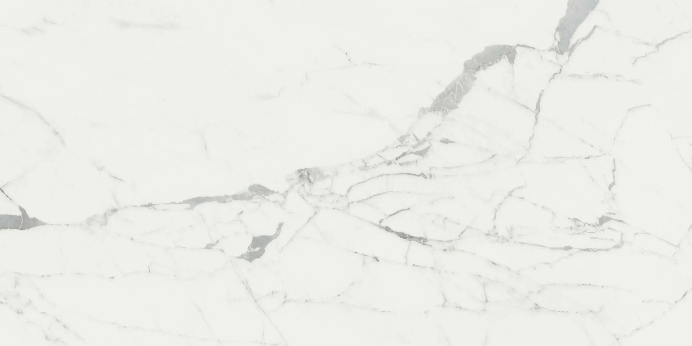 Anima Statuario Venato 60x120 Matt 9 mm [3]