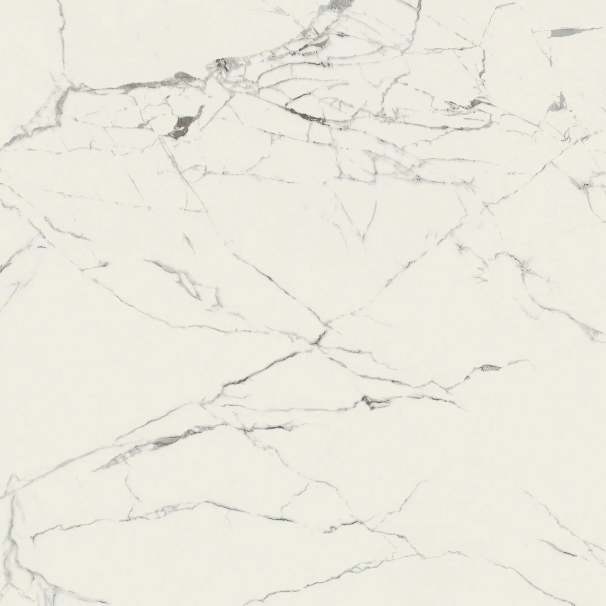 Anima Statuario Venato 60x60 Matt 9 mm [2]