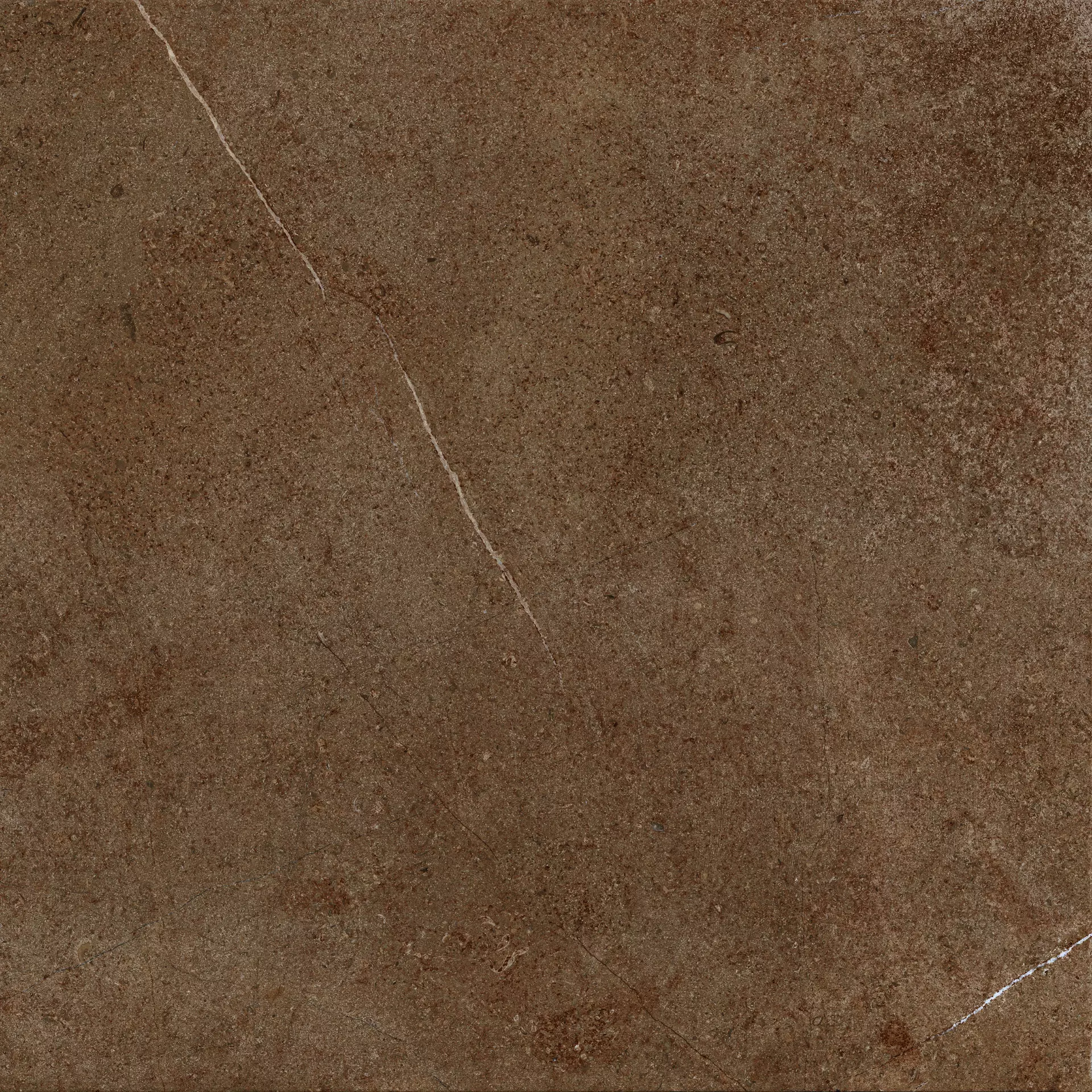 Archè Terra 120x120 cm Natural 7 mm [4]