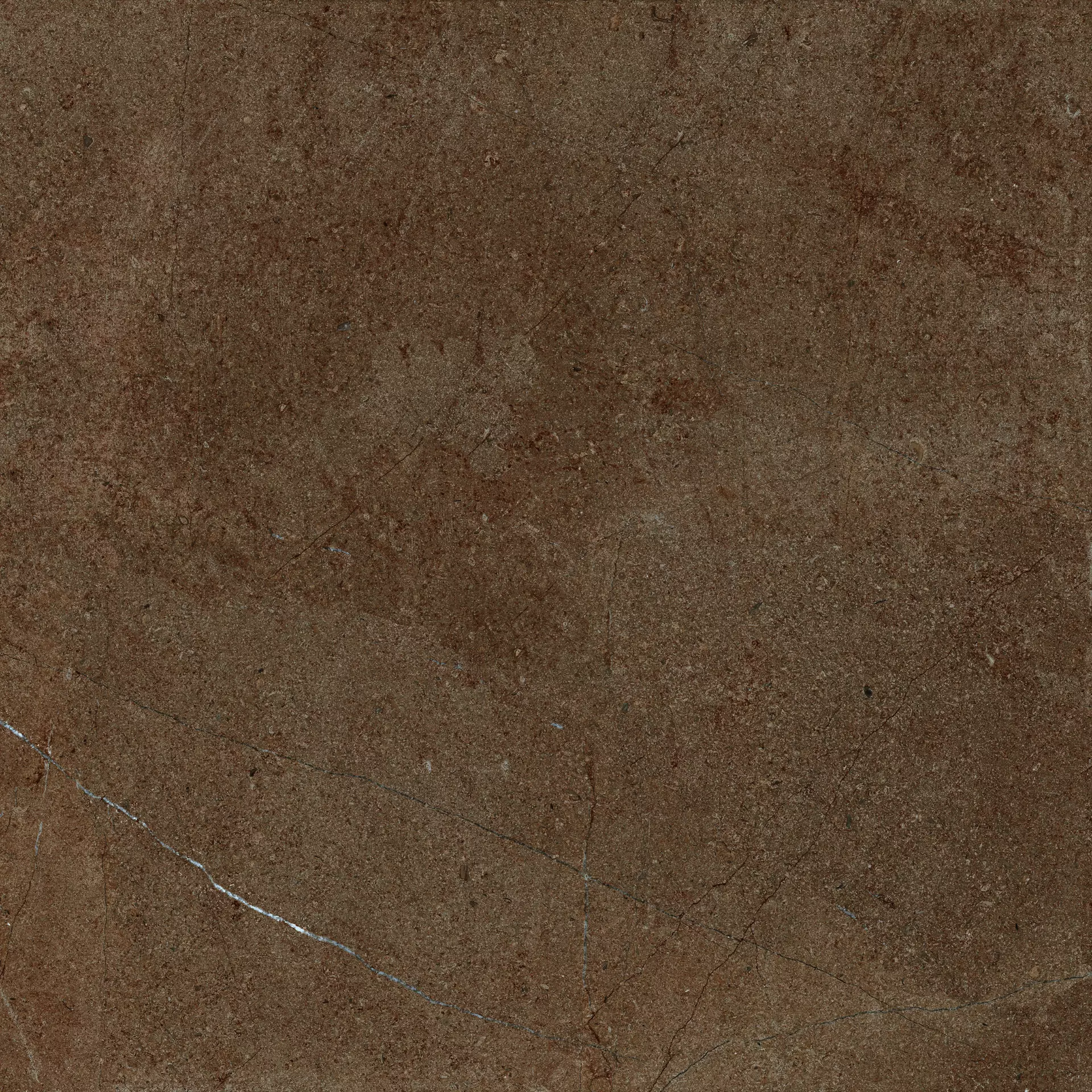 Archè Terra 120x120 cm Natural 7 mm [3]