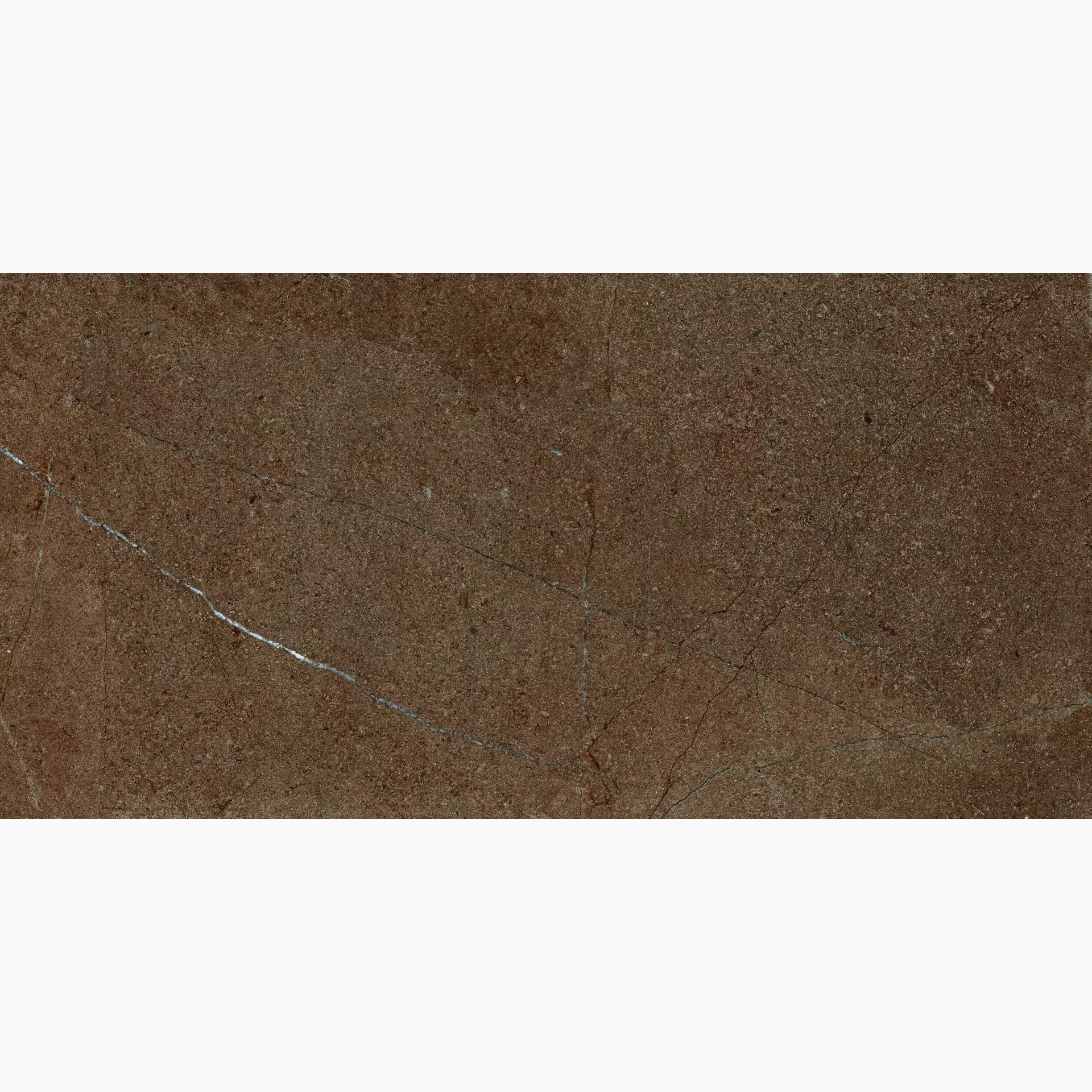 Archè Terra 50x100 cm Grip 20 mm [6]