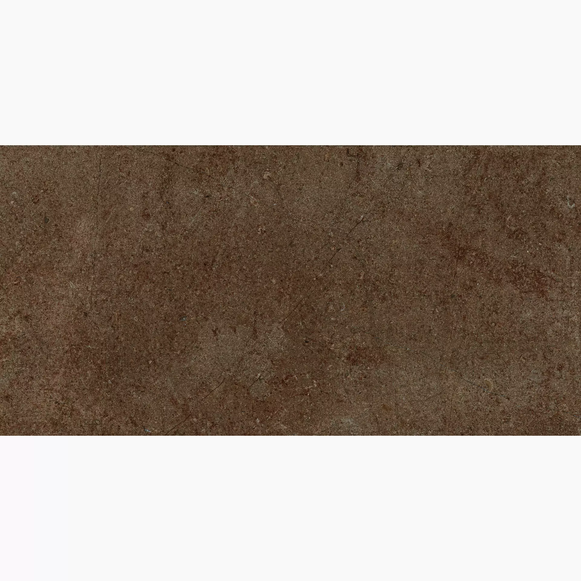 Archè Terra 50x100 cm Grip 20 mm [4]