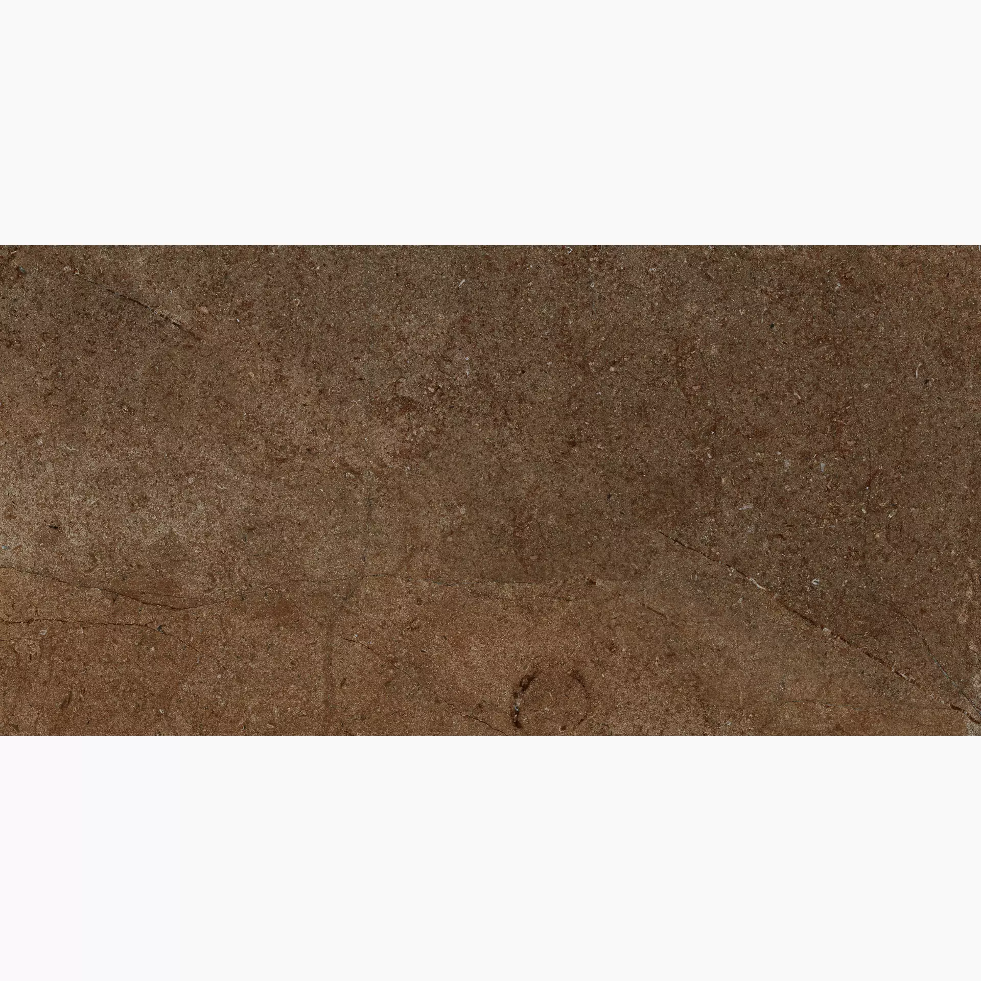 Archè Terra 50x100 cm Grip 20 mm [3]