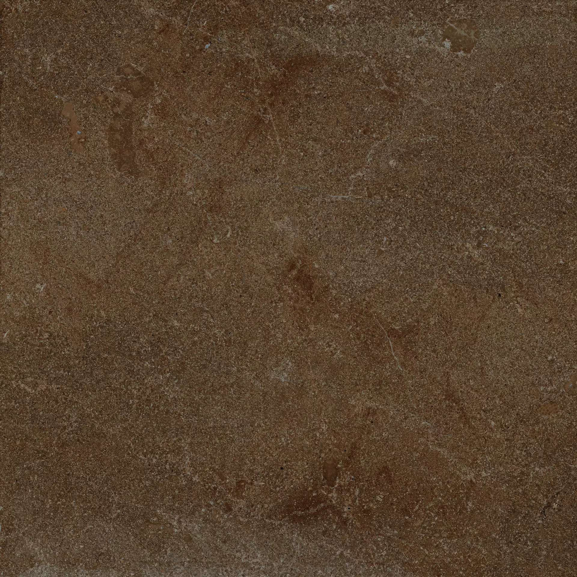 Archè Terra 60x60 cm Natural 7 mm [3]