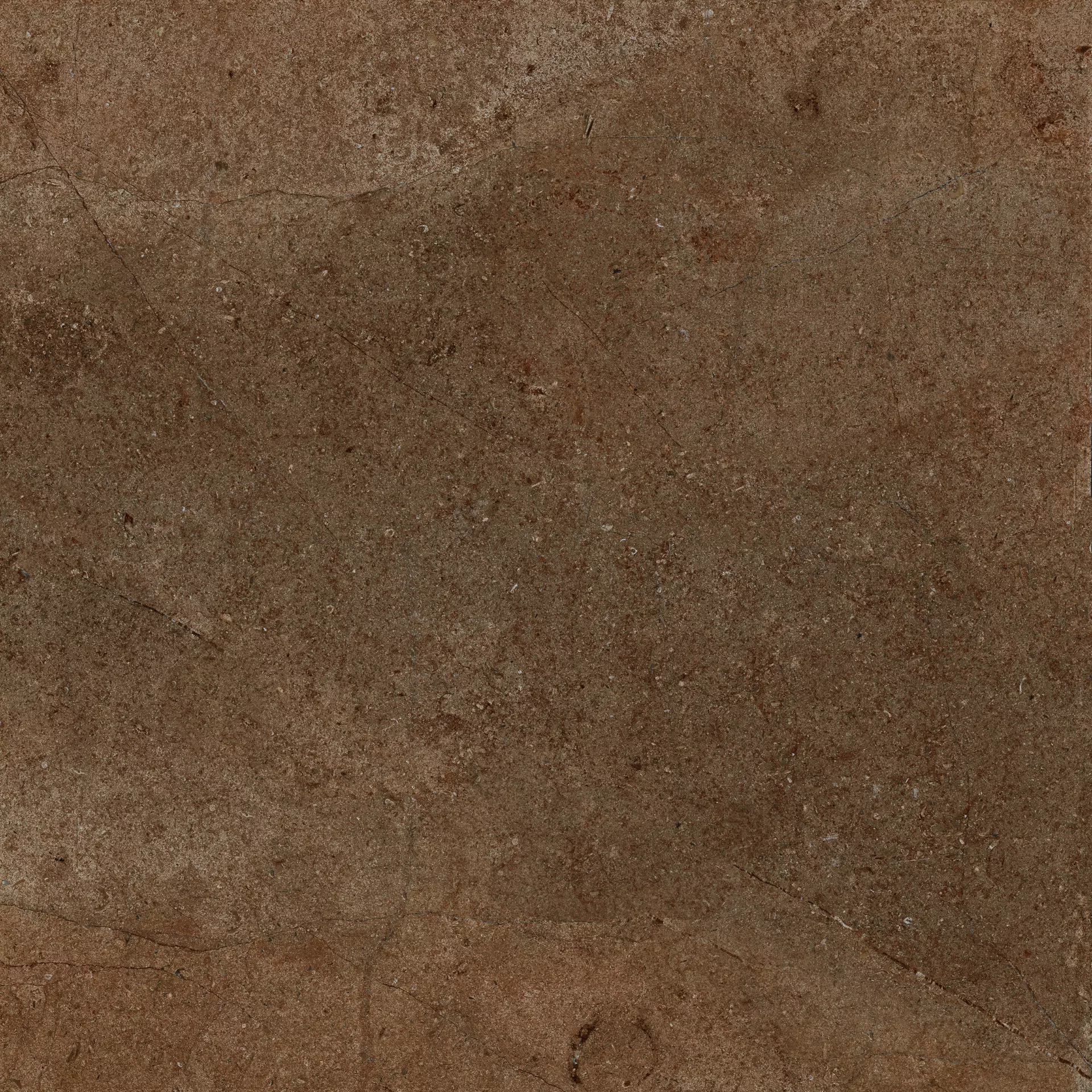 Archè Terra 60x60 cm Natural 7 mm [2]