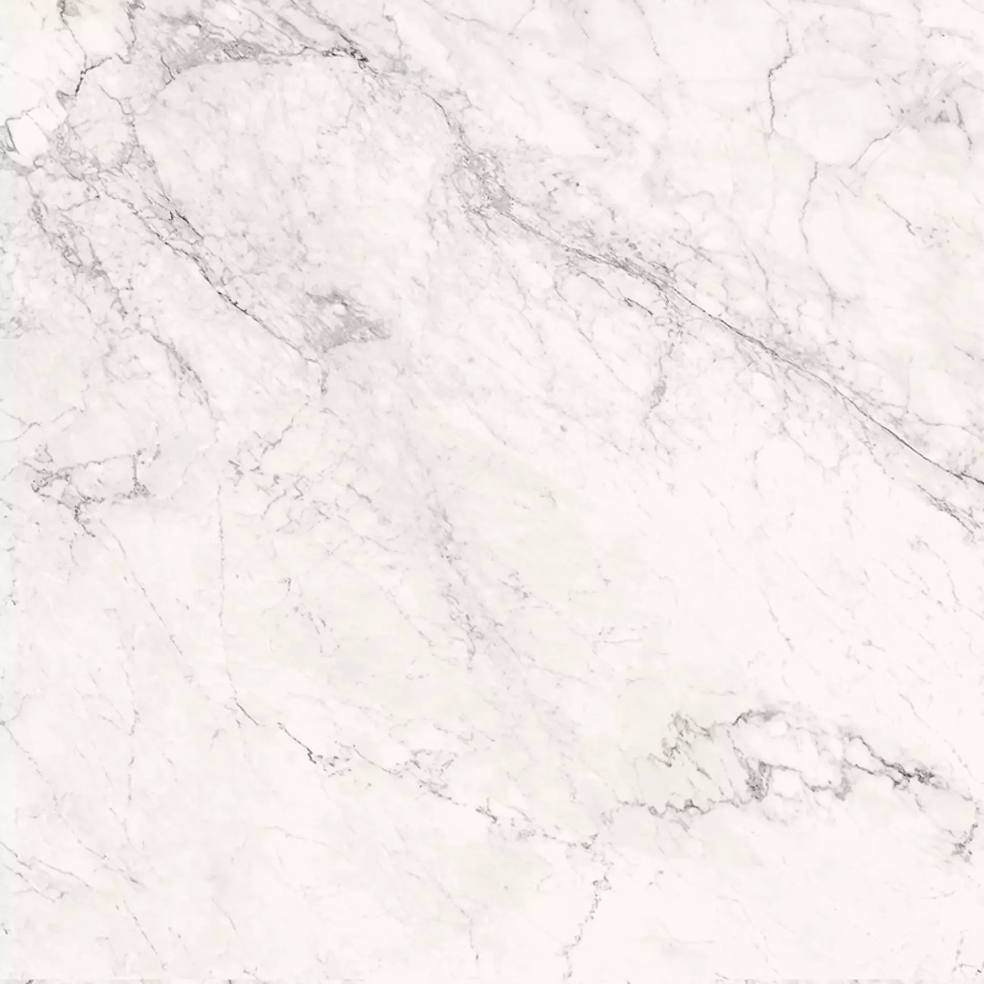 Calacatta Extra White (CAL) 120x120 Mat 6.5 mm [6]
