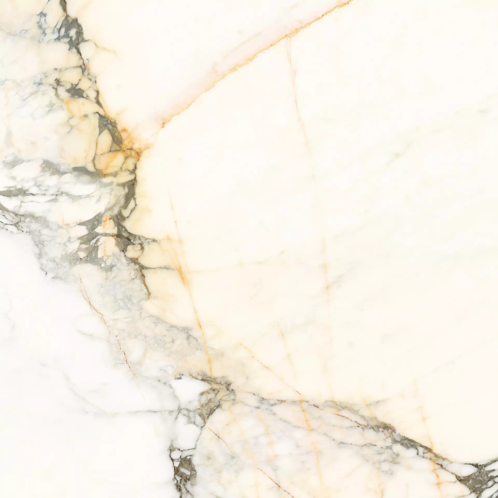 Calacatta Paonazzo (PAZ) 120x120 Lappato 6.5 mm [5]