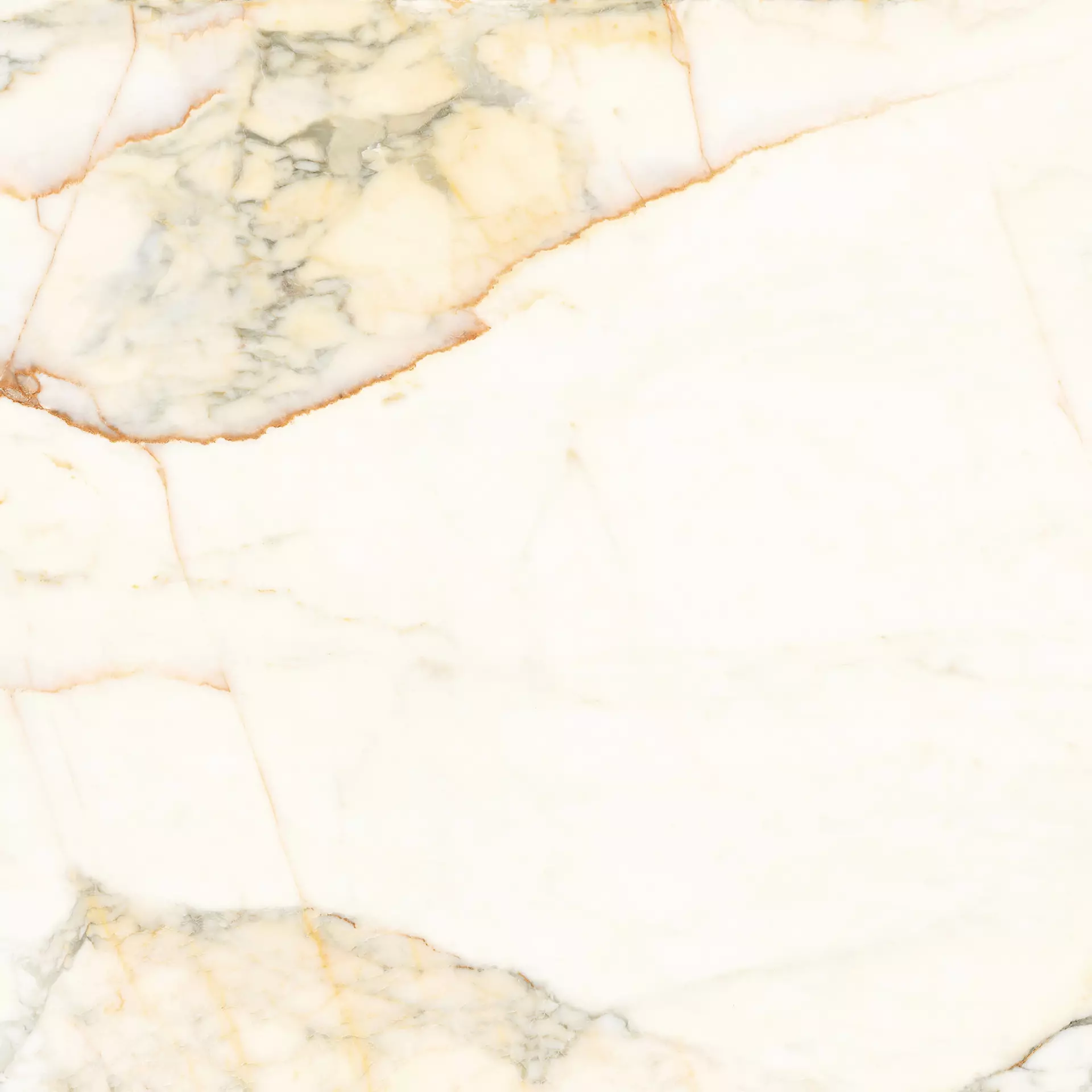 Calacatta Paonazzo (PAZ) 120x120 Lappato mat 6.5 mm [3]