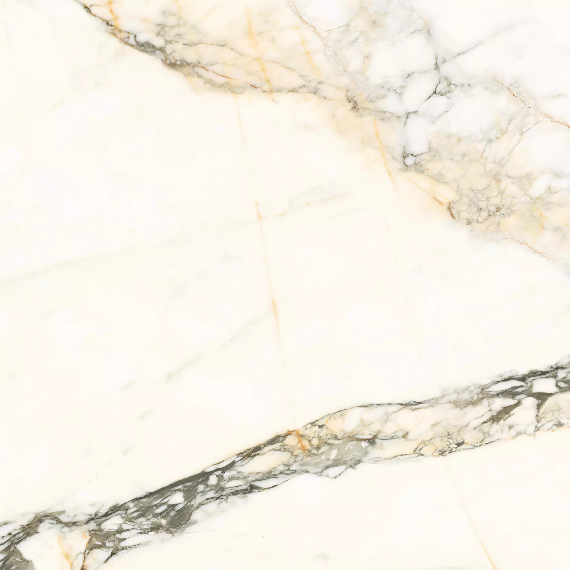 Calacatta Paonazzo (PAZ) 120x120 Lappato mat 6.5 mm [6]