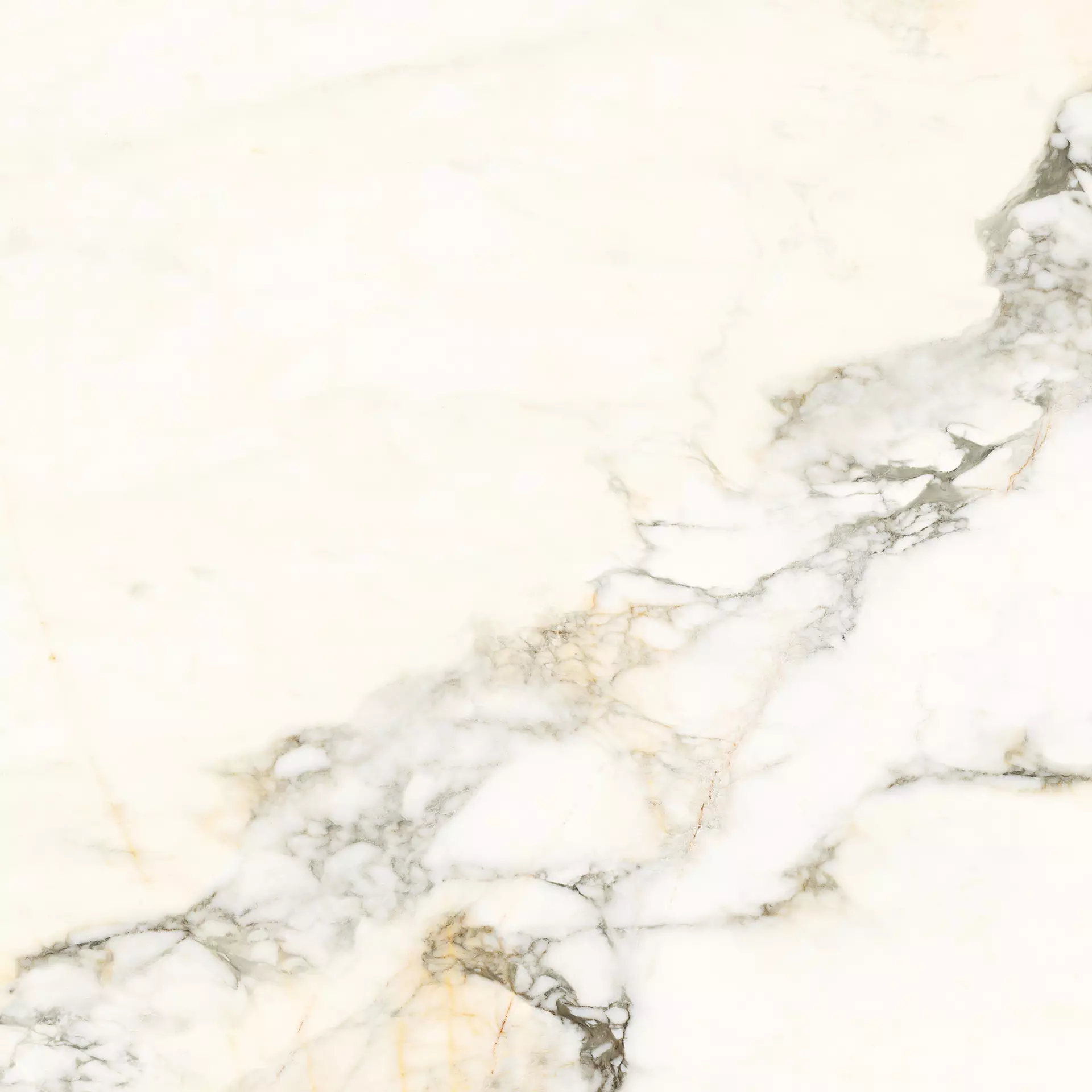 Calacatta Paonazzo (PAZ) 30x30 Lappato mat 6.5 mm [2]