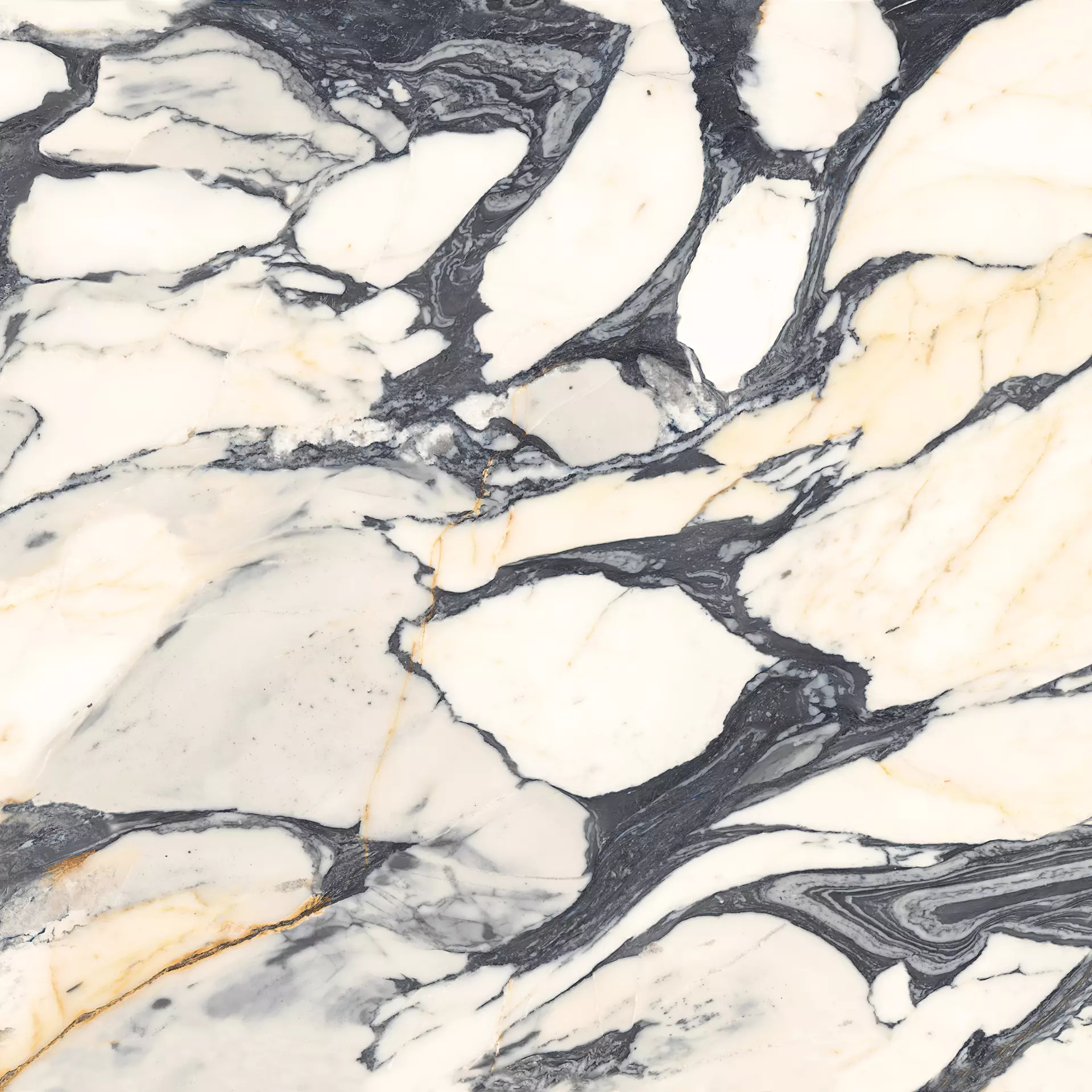 CALACATTA PICASSO 120X120 Mat 6.5 mm [3]