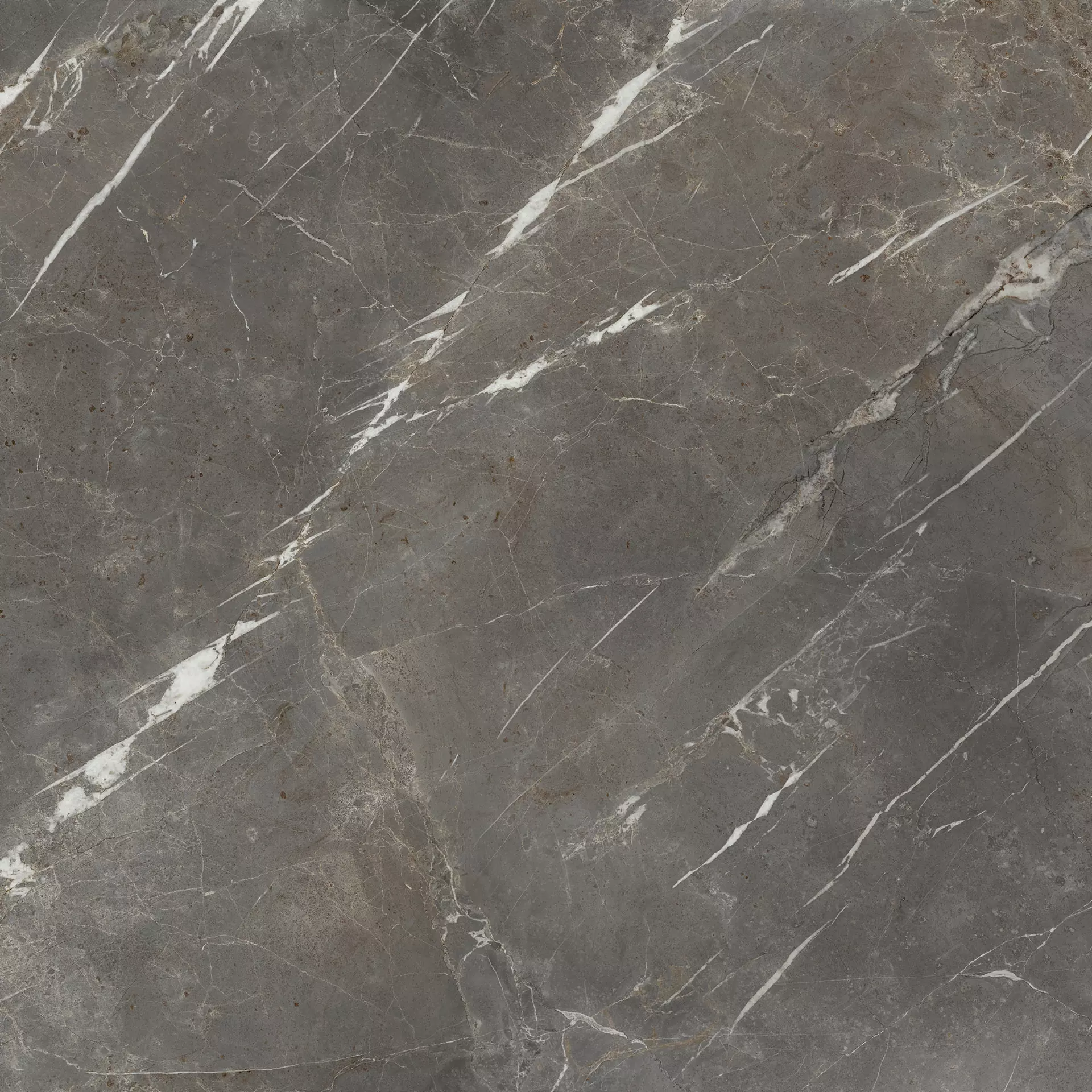 Collemandina (COL) 120x120 Lappato mat 6.5 mm [4]