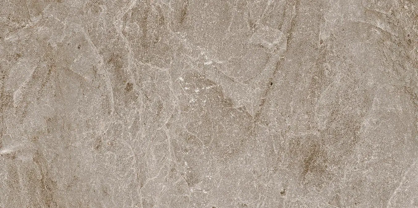Dolomite Taupe 60x120 Natural 10 mm mm [2]