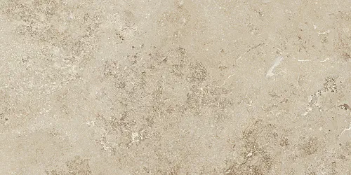 ELEGANCE Brushed 60x120 Lappato 9mm [2]