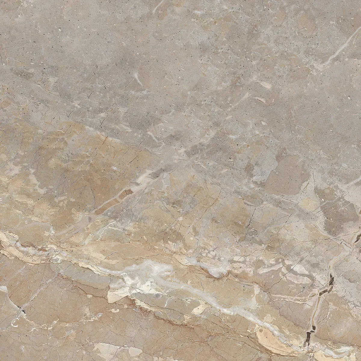 Golden Age Beige 60x60 Natural 9mm [2]