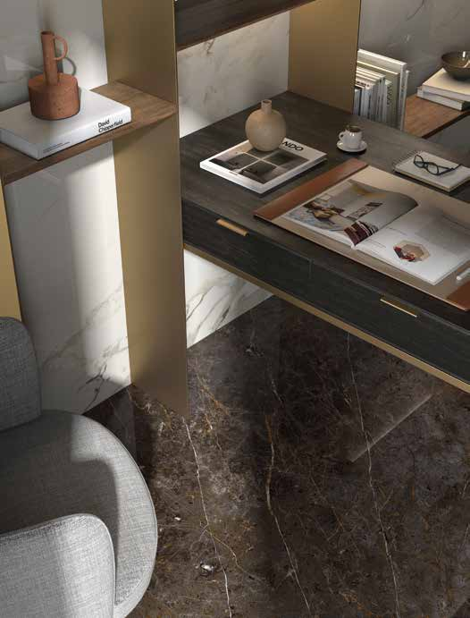 Golden Black (GOL) 60x120 Mat 6.5 mm [5]