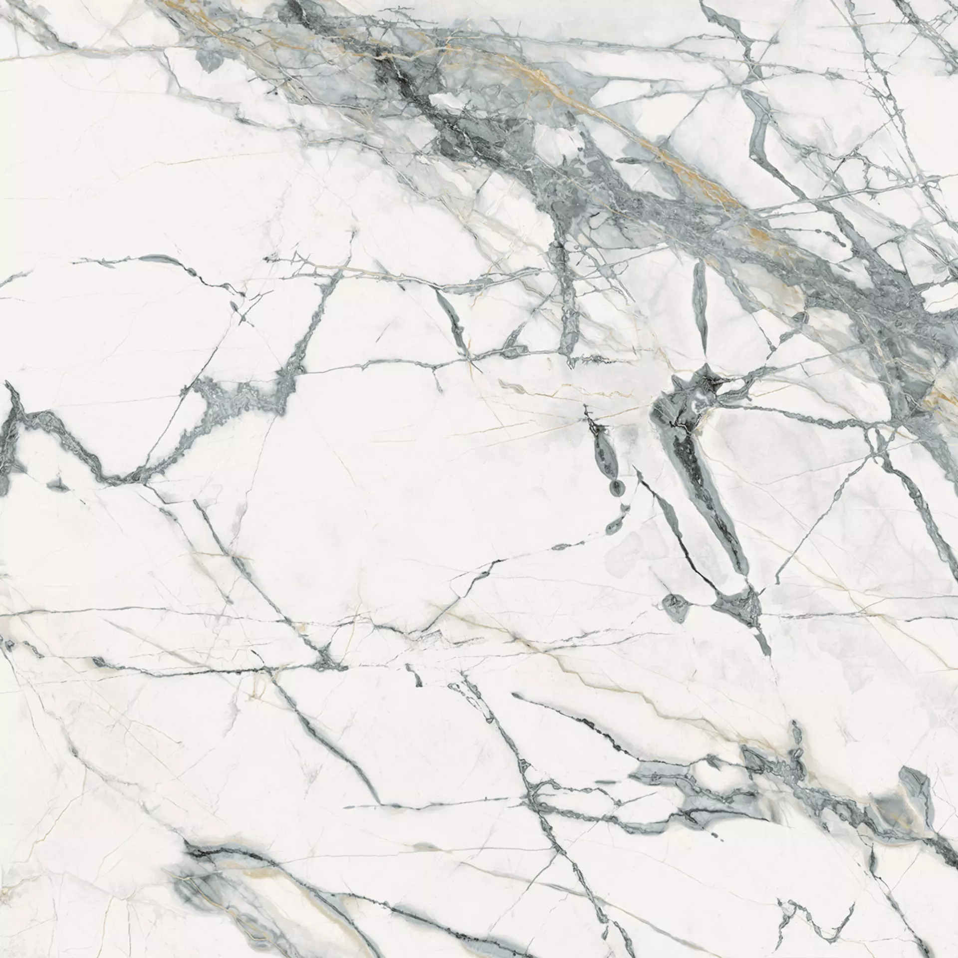 INV WHITE 120X120 Mat 6.5 mm [3]