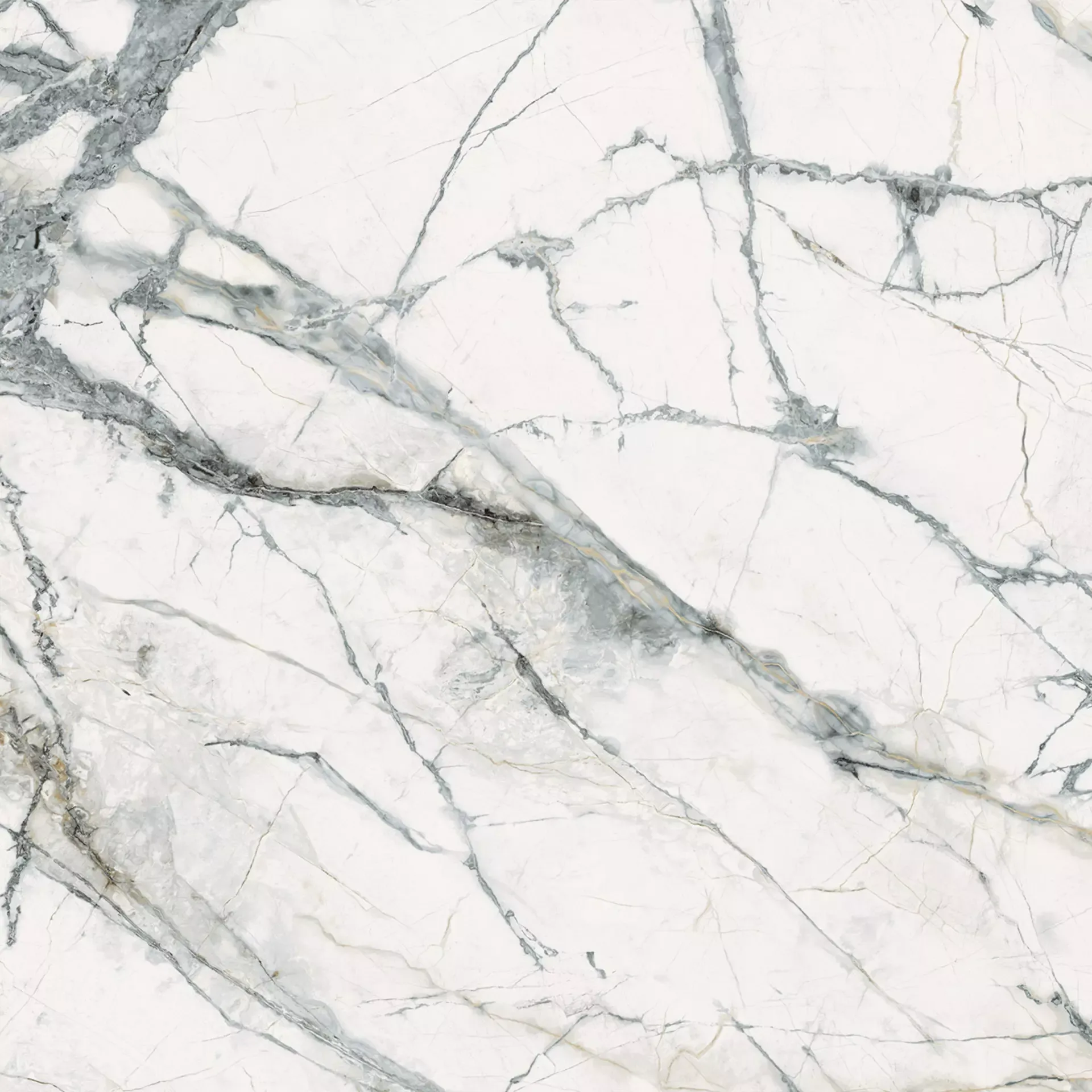 INV WHITE 120X120 Mat 6.5 mm [6]