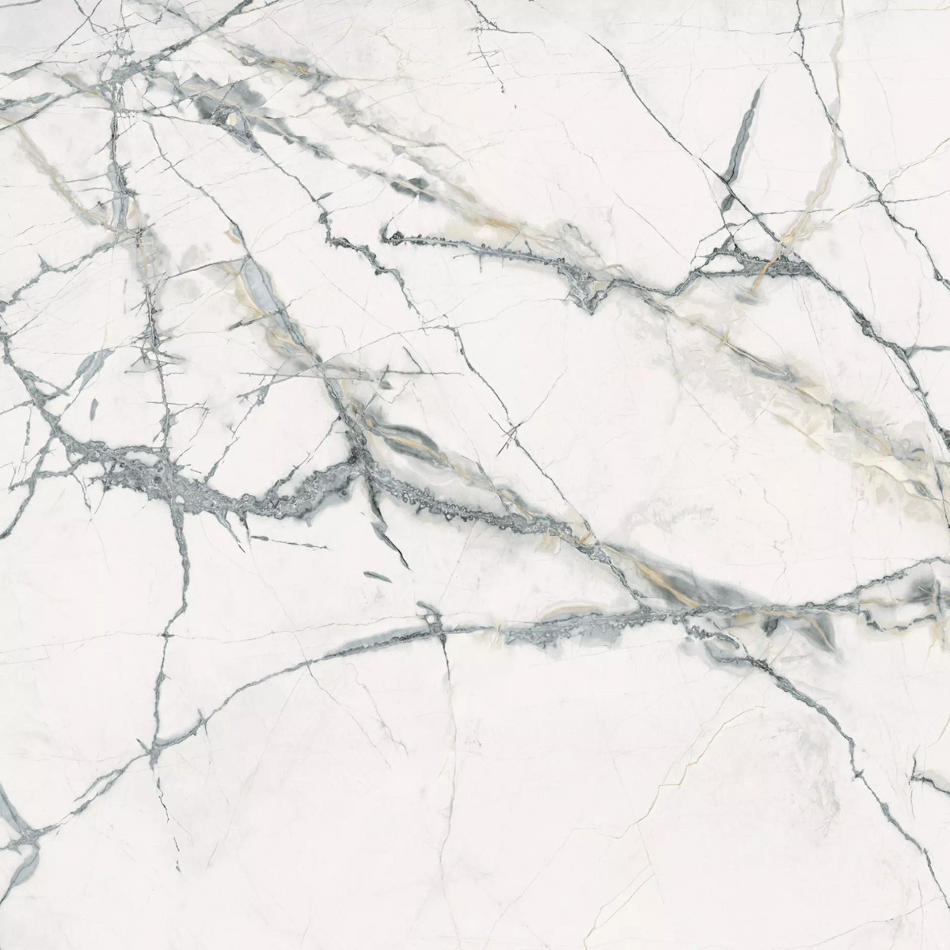 INV WHITE 120X120 Mat 6.5 mm [4]