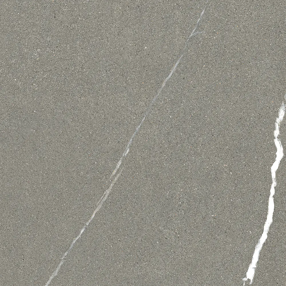 Iulia Gri 120x120 Mat 9 mm [4]