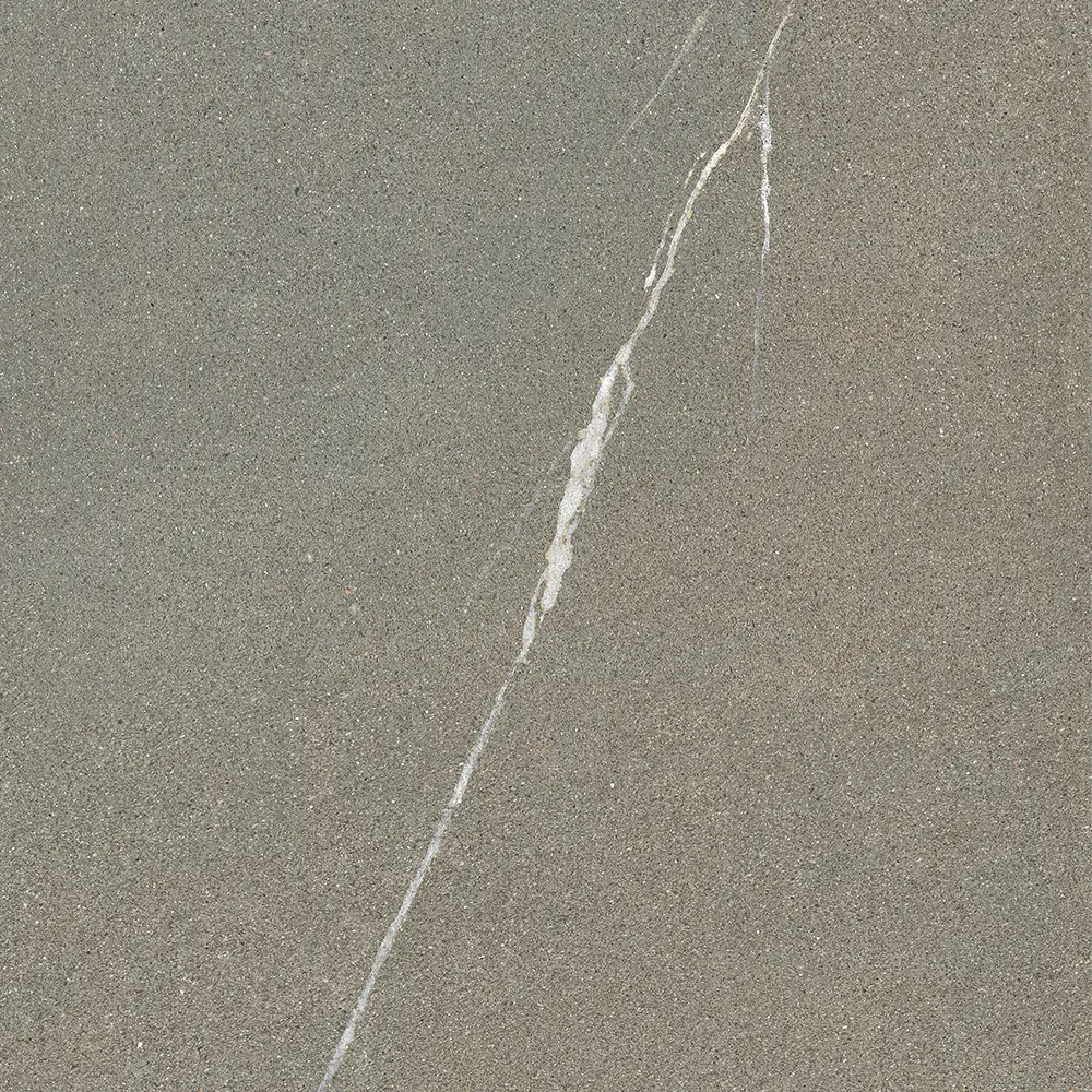 Iulia Gri 120x120 Mat 9 mm [8]