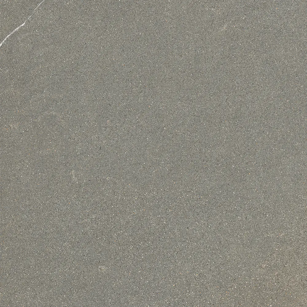 Iulia Gri 120x120 Mat 9 mm [7]