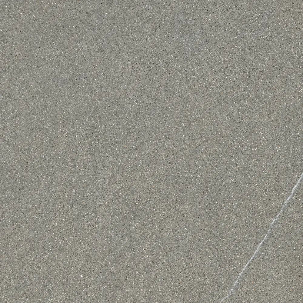 Iulia Gri 120x120 Mat 9 mm [2]