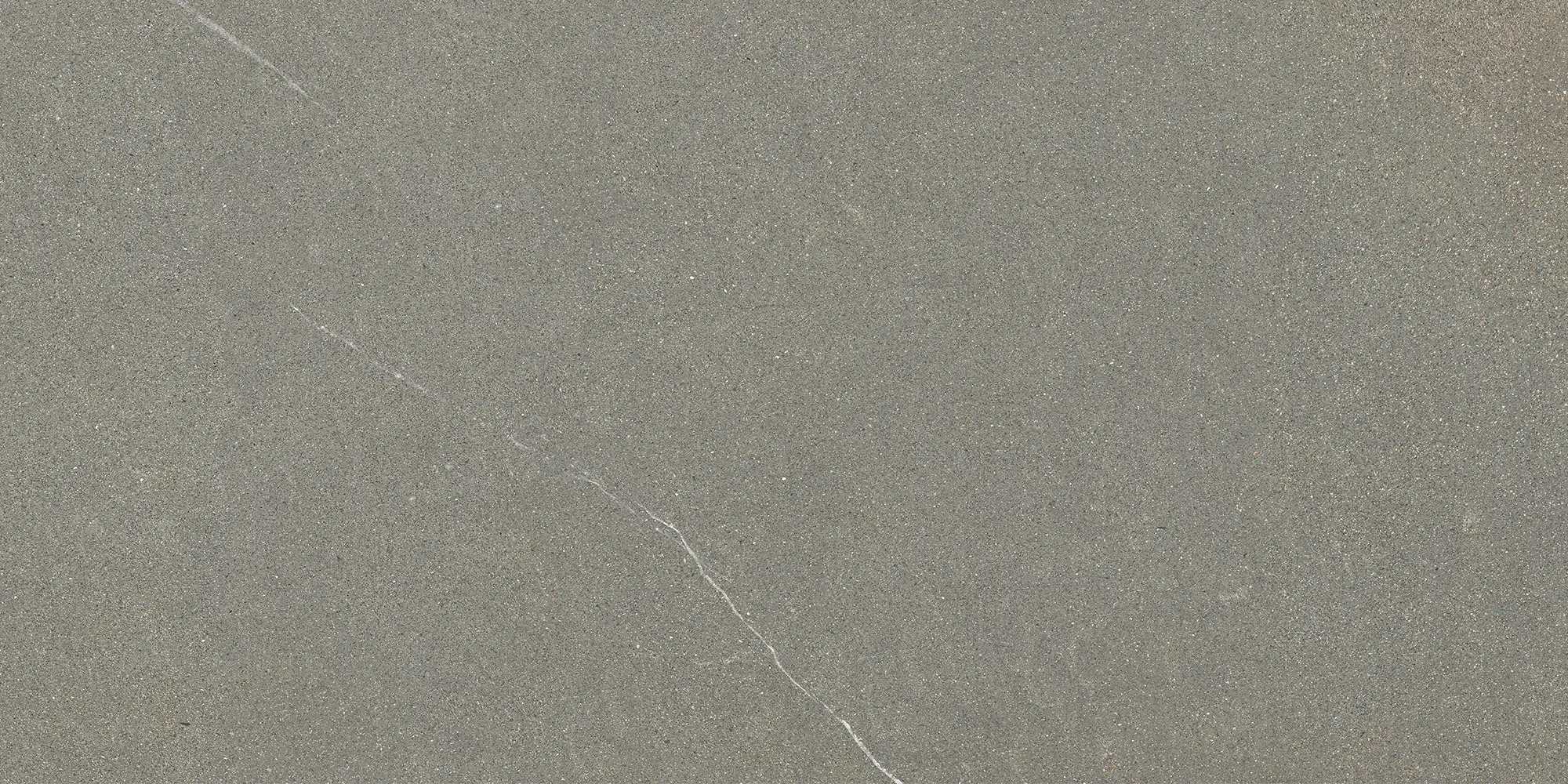 Iulia Gri 30x60 Mat 9 mm [3]