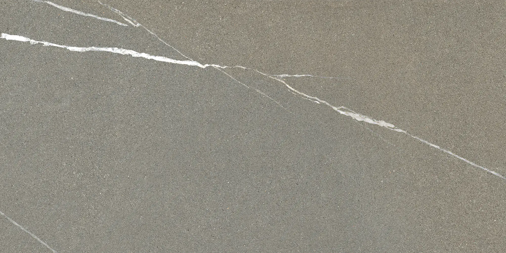 Iulia Gri 30x60 Mat 9 mm [4]