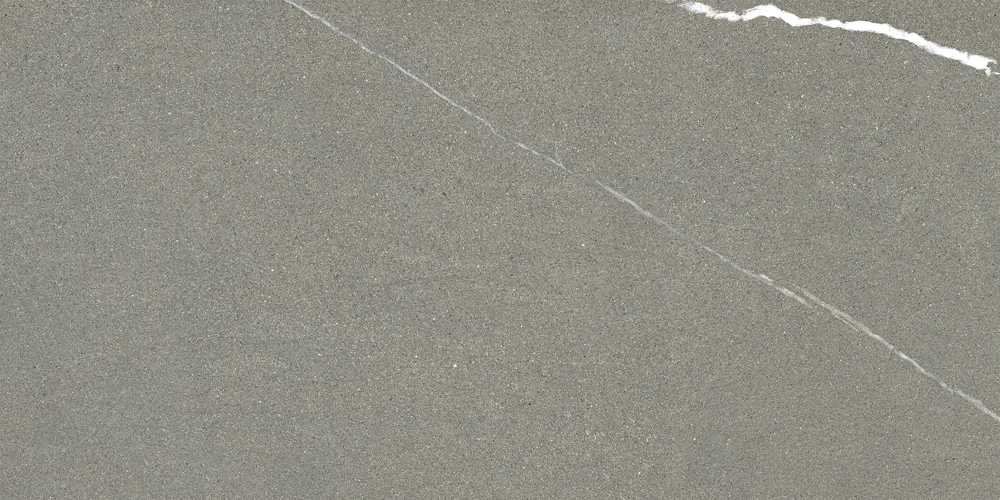Iulia Gri 30x60 Mat 9 mm [2]