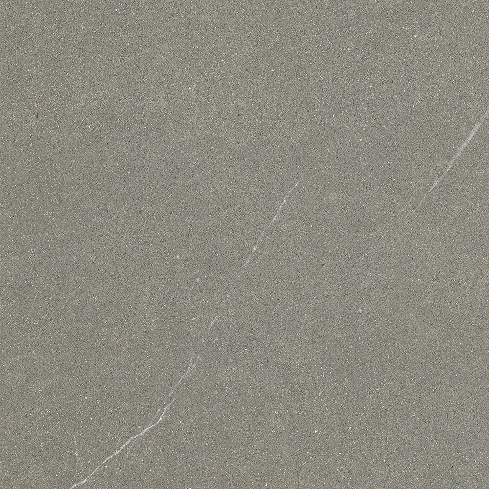 Iulia Gri 60x60 Mat 9 mm [5]
