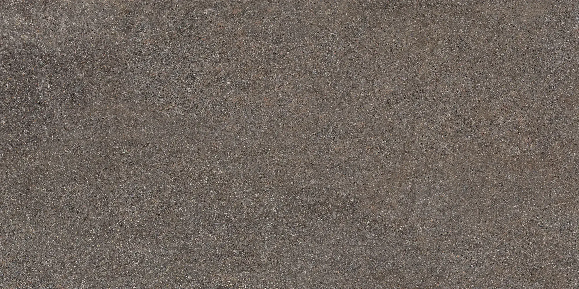 Lavis Gri 60x120 Mat 9 mm [4]