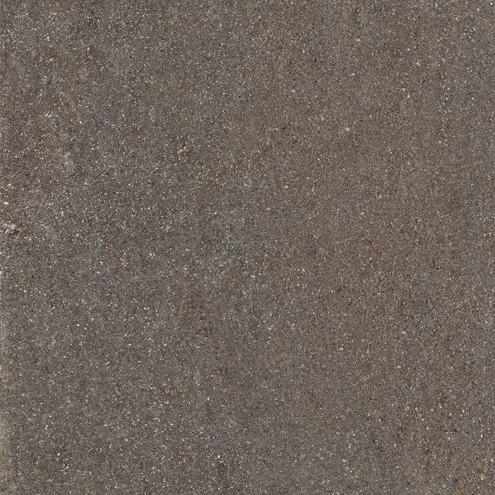 Lavis Gri 60x60 Mat 9 mm [3]