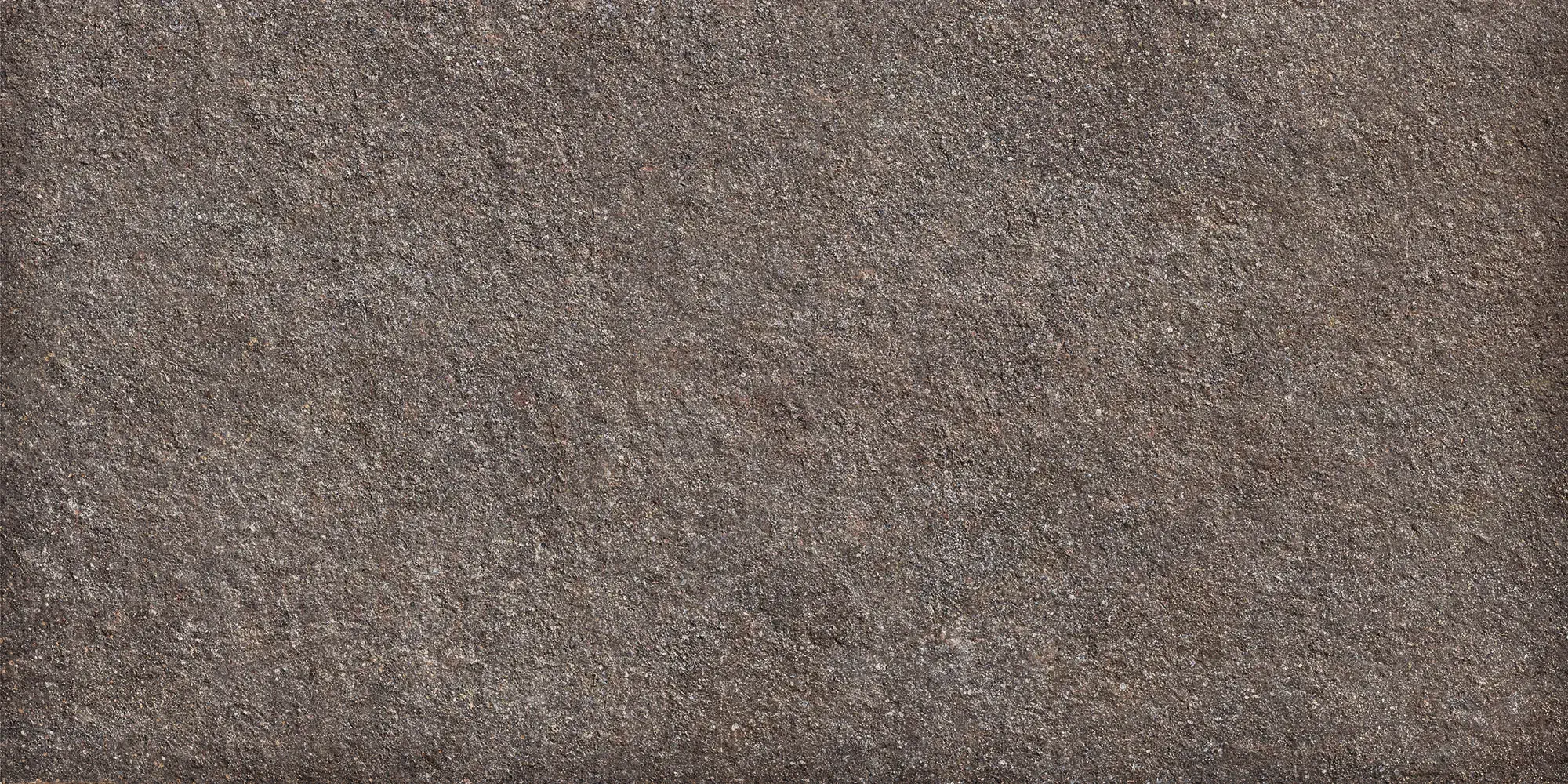 Lavis Gri Aextra20 60x120 Texturat 20 mm [7]
