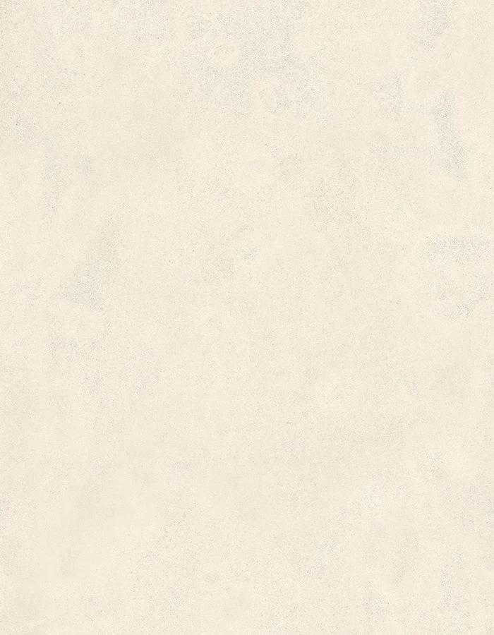 Logico Light 120x278 Natural 6 mm [4]