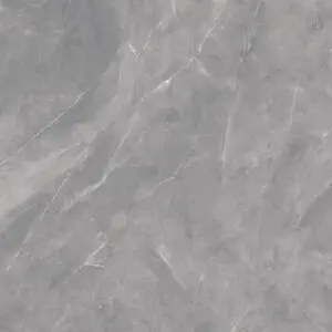 Magda Gris 60x60 Lucios [6]