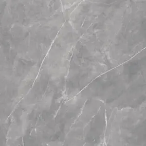 Magda Gris 60x60 Mat [2]