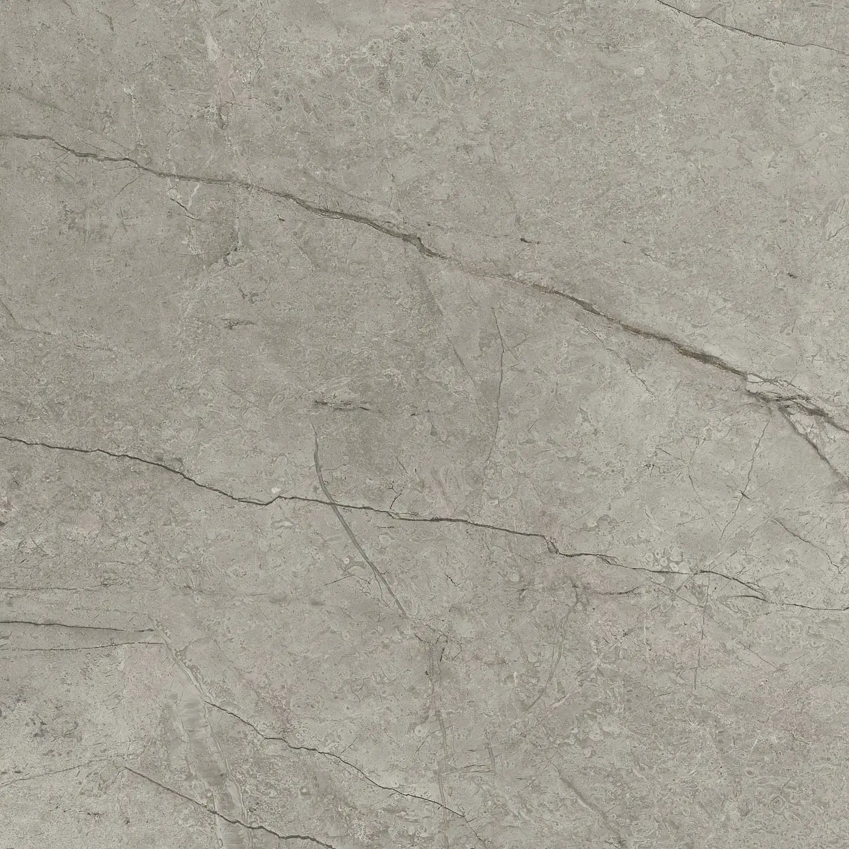 Marble Boutique Silver 60x60 Natural 8.5 mm [4]