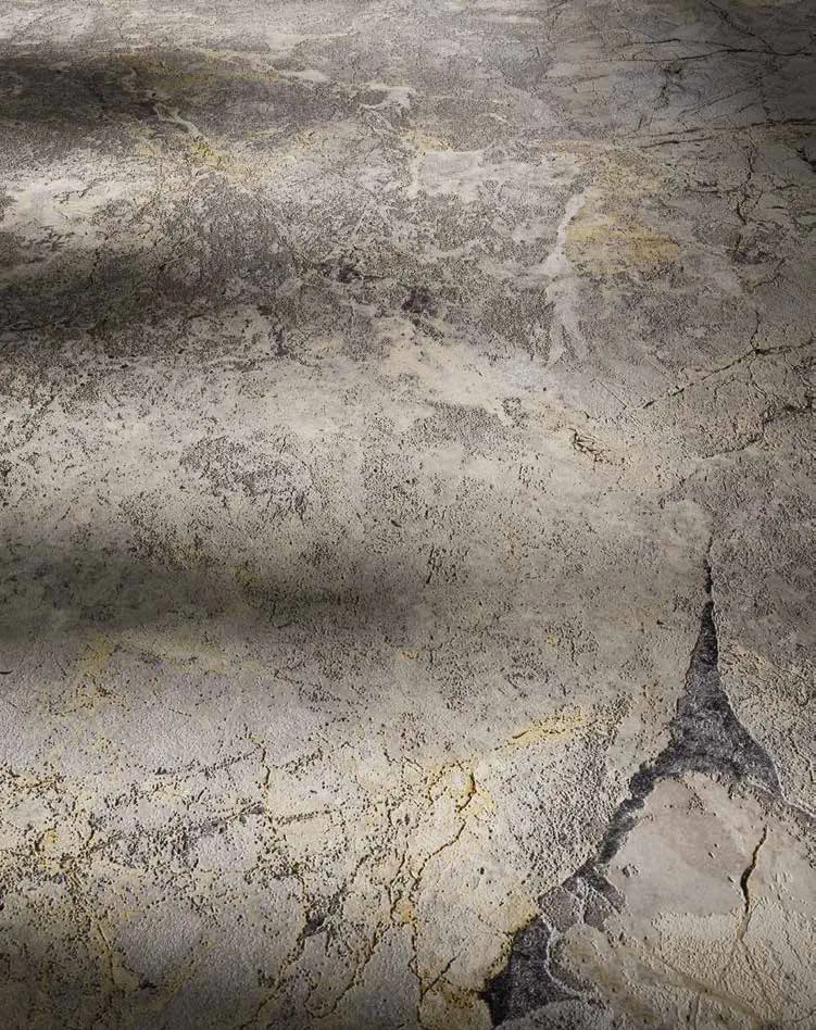 Marble Edition Invisible Grey 120x260 Natural 8.5 mm [14]