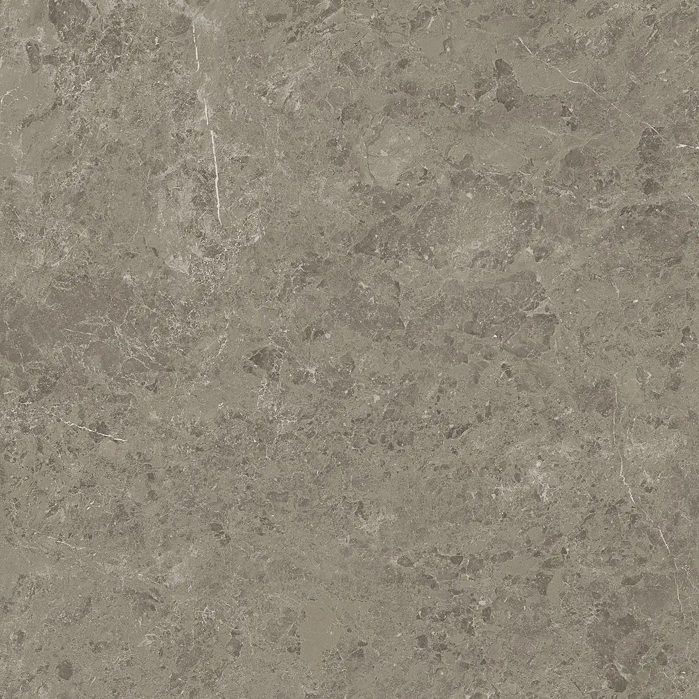 Marvel Meraviglia Grigio Elegante 120x120 Satinat 9 mm [3]