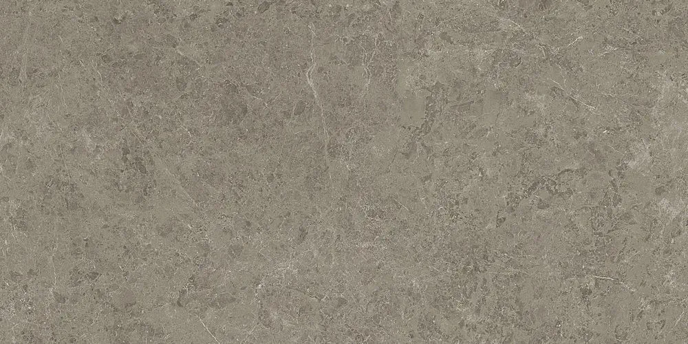 Marvel Meraviglia Grigio Elegante 60x120 Lucios 9 mm [7]