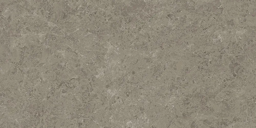 Marvel Meraviglia Grigio Elegante 60x120 Satinat 9 mm [8]